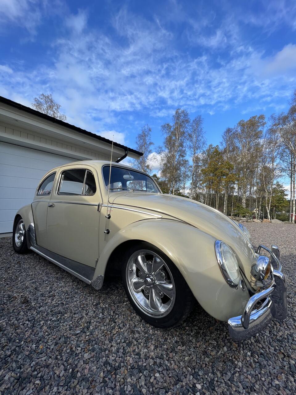 Volkswagen Typ 1