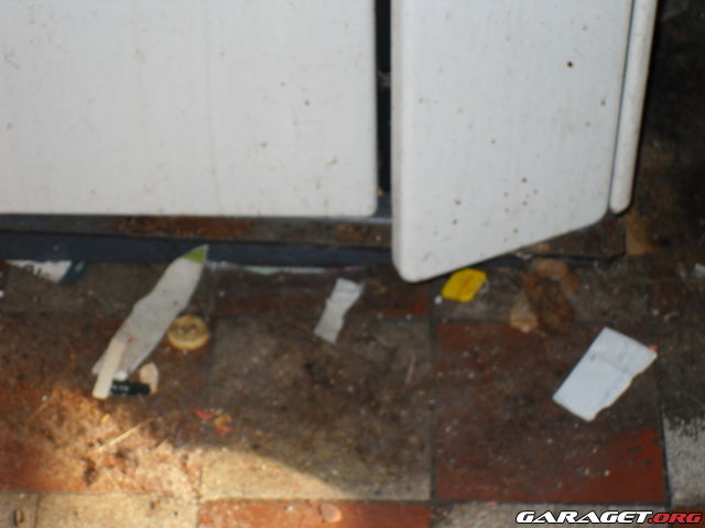 https://www1.garaget.org/gallery/archive/100353/633825_gd8c7t.jpg