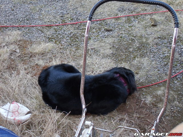 https://www1.garaget.org/gallery/archive/100353/635879_acbcs6.jpg