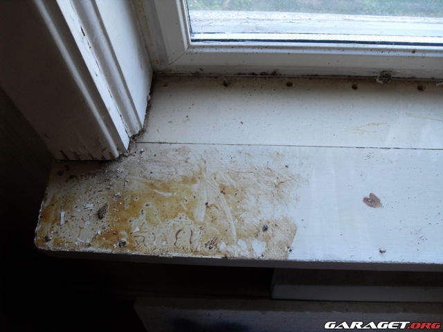 https://www1.garaget.org/gallery/archive/100353/636057_ln3mrq.jpg