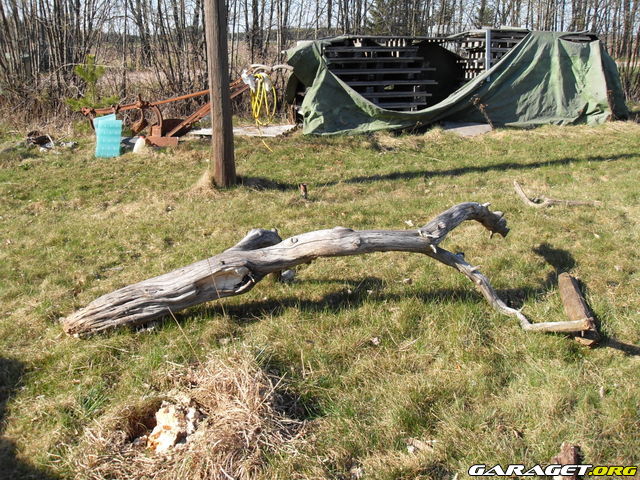https://www1.garaget.org/gallery/archive/100353/636084_m1fqfy.jpg