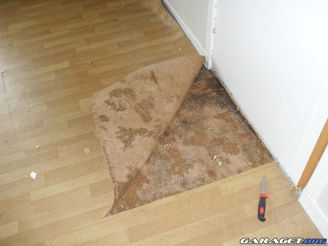 https://www1.garaget.org/gallery/archive/100353/640316_3m1spe.jpg