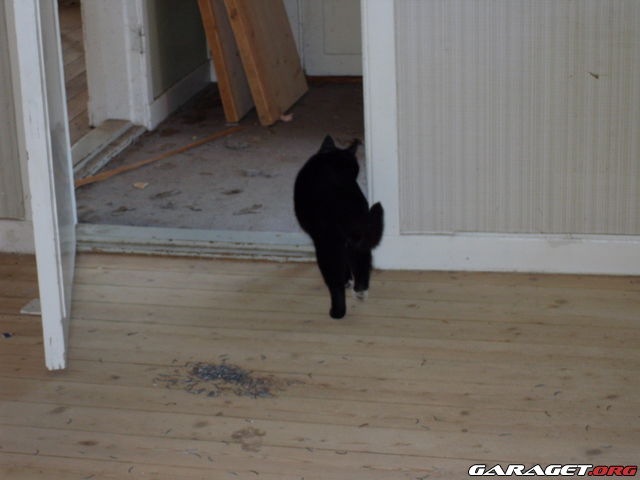 https://www1.garaget.org/gallery/archive/100353/641313_vqfjux.jpg