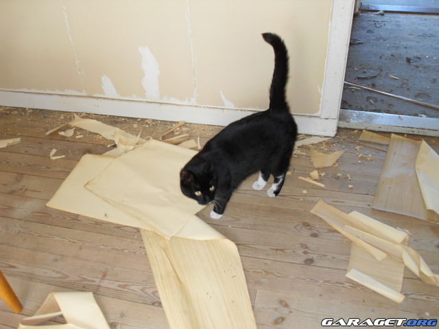 https://www1.garaget.org/gallery/archive/100353/642632_0i53ng.jpg