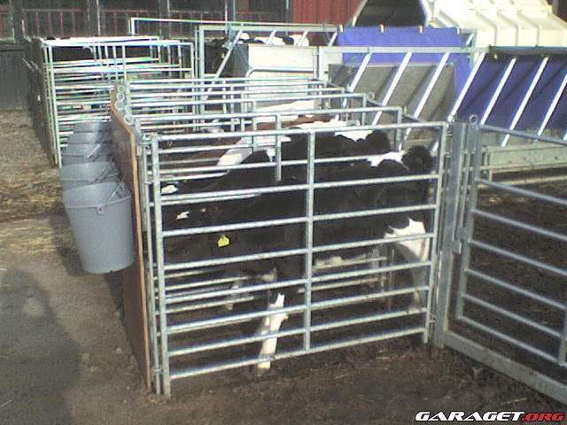 https://www1.garaget.org/gallery/archive/100353/671598_al868f.jpg