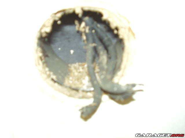 https://www1.garaget.org/gallery/archive/100353/673210_hqxj5l.jpg
