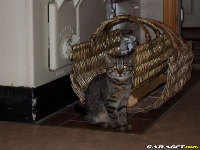 https://www1.garaget.org/gallery/archive/100353/754499_9vxwcy.jpg