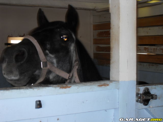 https://www1.garaget.org/gallery/archive/100353/754512_u77onj.jpg