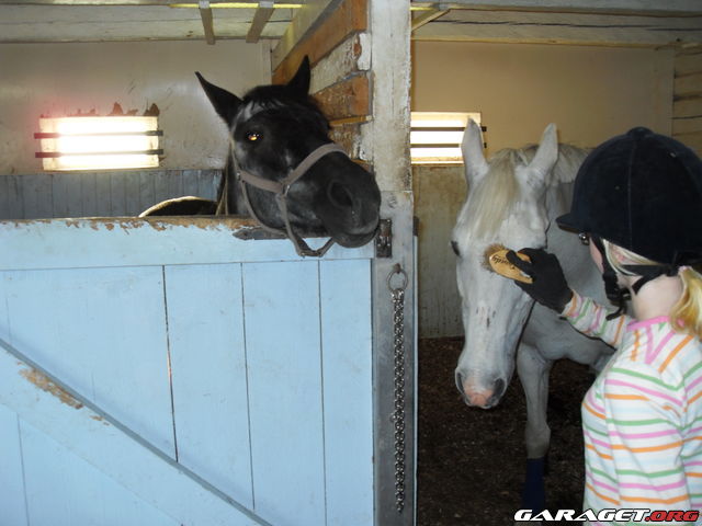 https://www1.garaget.org/gallery/archive/100353/754518_k96dor.jpg