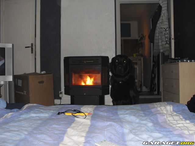 https://www1.garaget.org/gallery/archive/100353/796720_g3dt5w.jpg