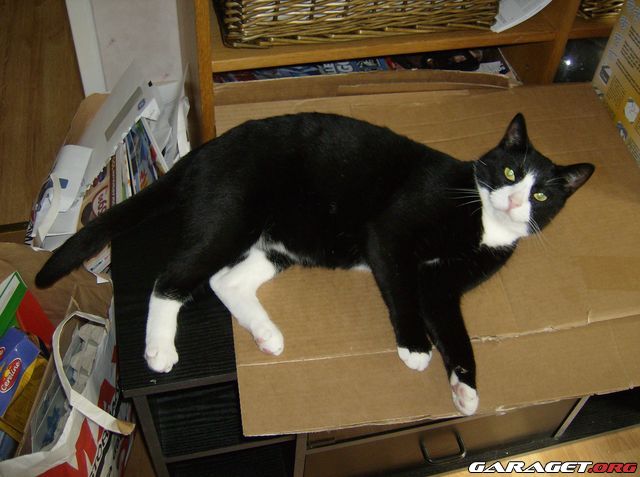 https://www1.garaget.org/gallery/archive/101165/590987_w7ngvw.jpg