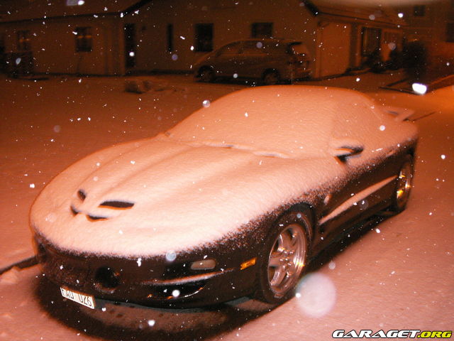 https://www1.garaget.org/gallery/archive/101881/493141_9zdamo.jpg