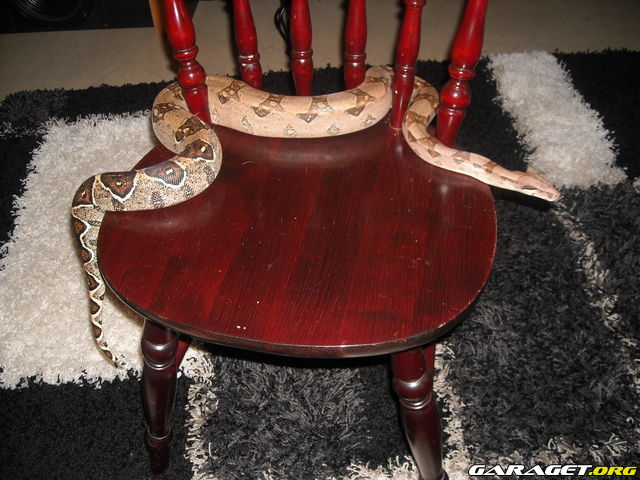 https://www1.garaget.org/gallery/archive/103738/932882_4bf0xu.jpg