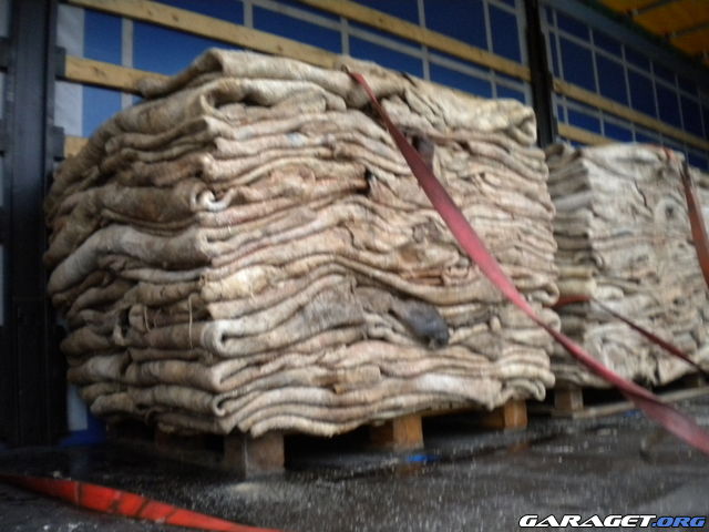 https://www1.garaget.org/gallery/archive/109949/795909_c2mg6g.jpg