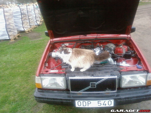https://www1.garaget.org/gallery/archive/110846/923889_smlkdc.jpg