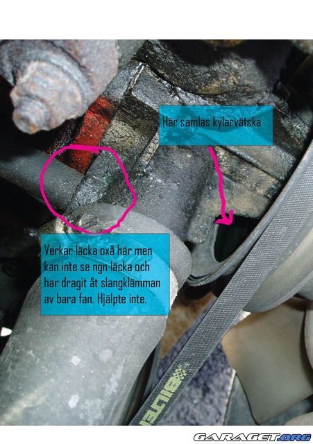 https://www1.garaget.org/gallery/archive/112808/605110_qfj29j.jpg
