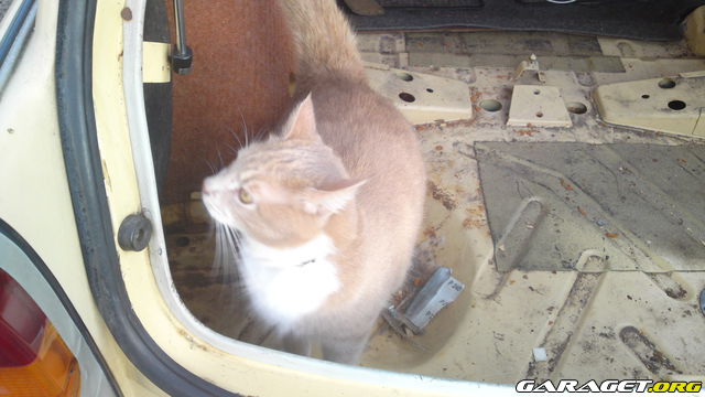 https://www1.garaget.org/gallery/archive/112929/1003225_0o64vi.jpg