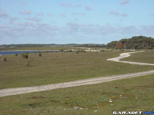 https://www1.garaget.org/gallery/archive/115409/663526_jappbv.jpg