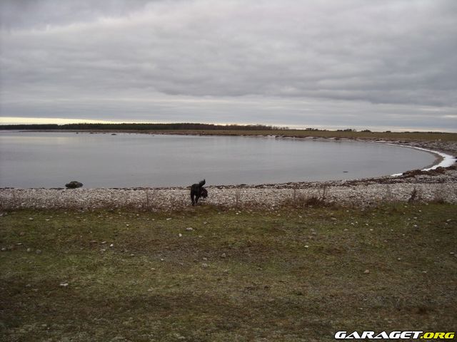 https://www1.garaget.org/gallery/archive/115409/664472_fd99bd.jpg