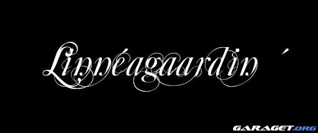 https://www1.garaget.org/gallery/archive/116597/886234_eds9a1.jpg