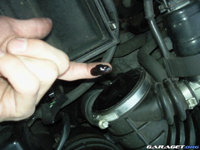 https://www1.garaget.org/gallery/archive/16490/479798_6hs1o7.jpg