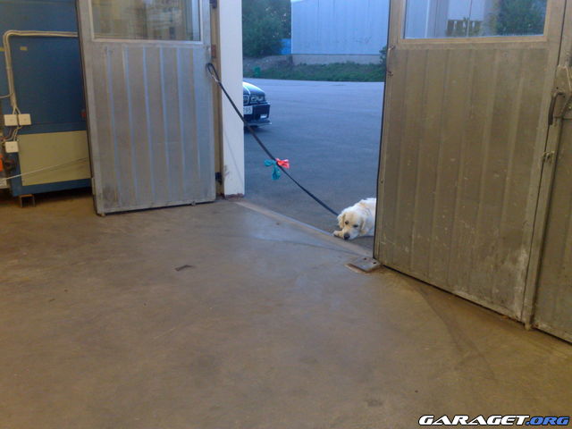 https://www1.garaget.org/gallery/archive/28600/669163_5u9fx2.jpg