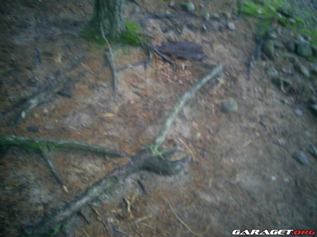 https://www1.garaget.org/gallery/archive/32750/547816_gxol58.jpg