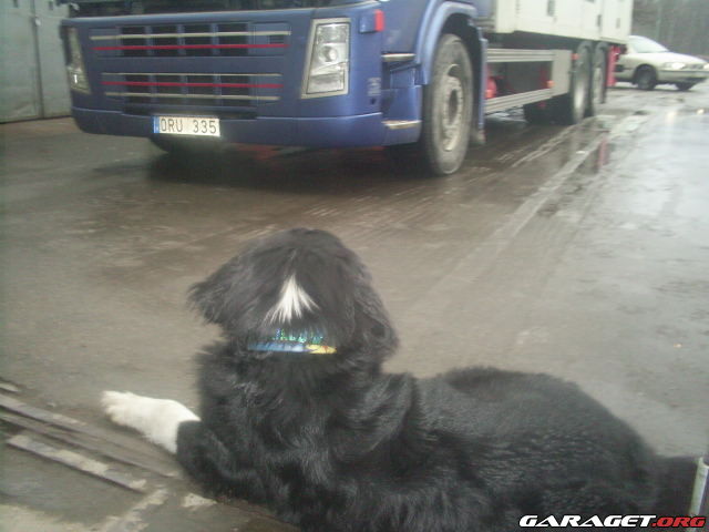 https://www1.garaget.org/gallery/archive/32750/548984_yfk846.jpg