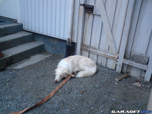 https://www1.garaget.org/gallery/archive/32750/606409_q4dyre.jpg