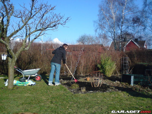 https://www1.garaget.org/gallery/archive/32750/615957_qt15m6.jpg