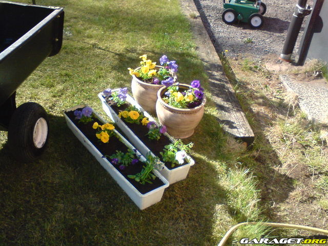 https://www1.garaget.org/gallery/archive/32750/642823_zn94b6.jpg