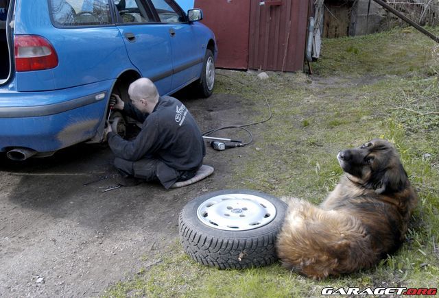 https://www1.garaget.org/gallery/archive/42036/318876_8ooetf.jpg