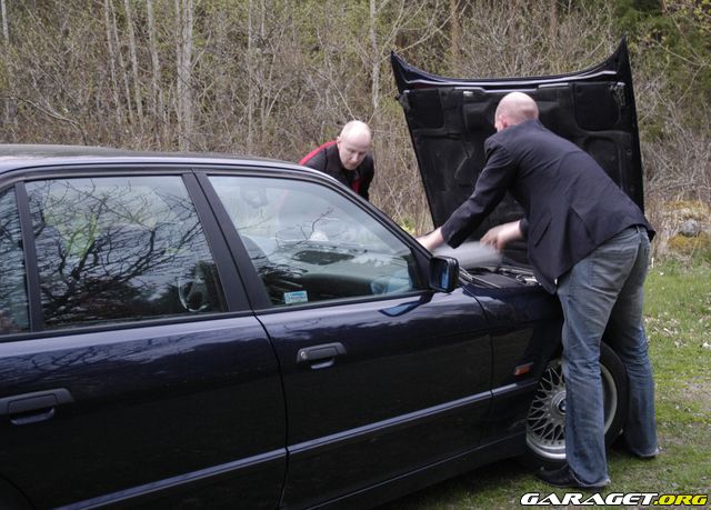 https://www1.garaget.org/gallery/archive/42036/339610_2fsomb.jpg