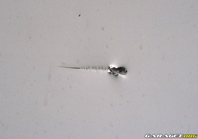 https://www1.garaget.org/gallery/archive/42036/385824_fda9qo.jpg