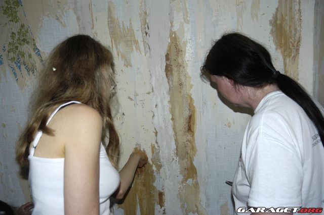 https://www1.garaget.org/gallery/archive/42036/408021_srelfp.jpg