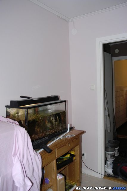 https://www1.garaget.org/gallery/archive/42036/443739_xjq0zm.jpg