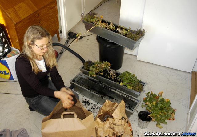 https://www1.garaget.org/gallery/archive/42036/495685_5u7fvy.jpg