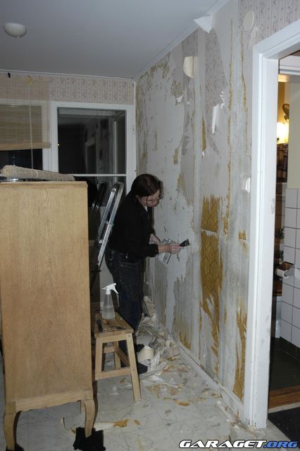 https://www1.garaget.org/gallery/archive/42036/496344_r181nq.jpg