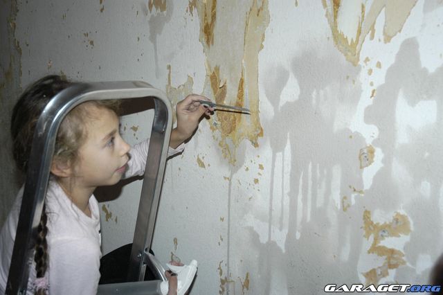 https://www1.garaget.org/gallery/archive/42036/496346_xgqhkw.jpg