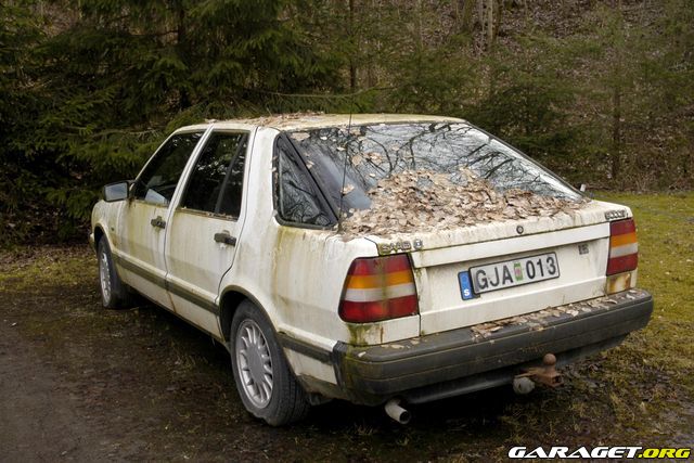 https://www1.garaget.org/gallery/archive/42036/626276_elysjo.jpg