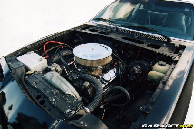 https://www1.garaget.org/gallery/archive/42036/799427_akn8cx.jpg