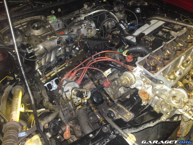 https://www1.garaget.org/gallery/archive/43877/853354_h56qp9.jpg