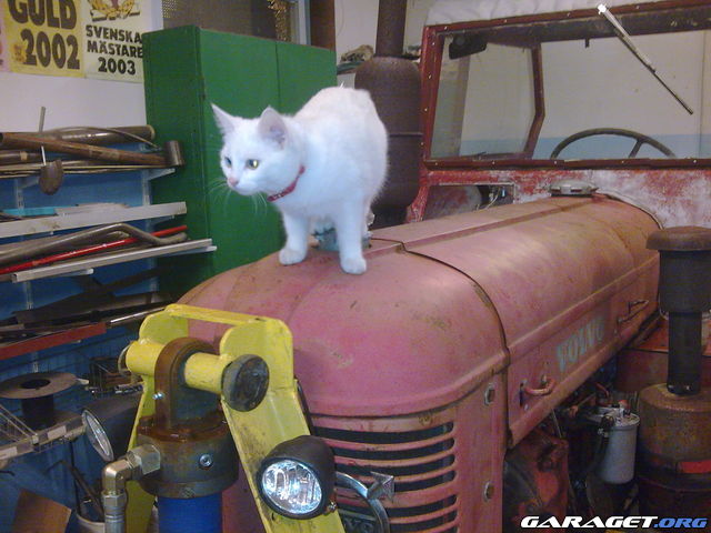https://www1.garaget.org/gallery/archive/44948/523499_xtg4ie.jpg