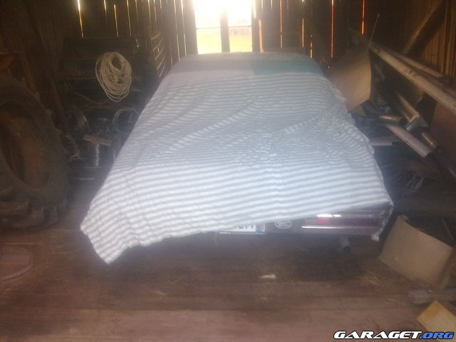 https://www1.garaget.org/gallery/archive/44948/783811_5s74xq.jpg