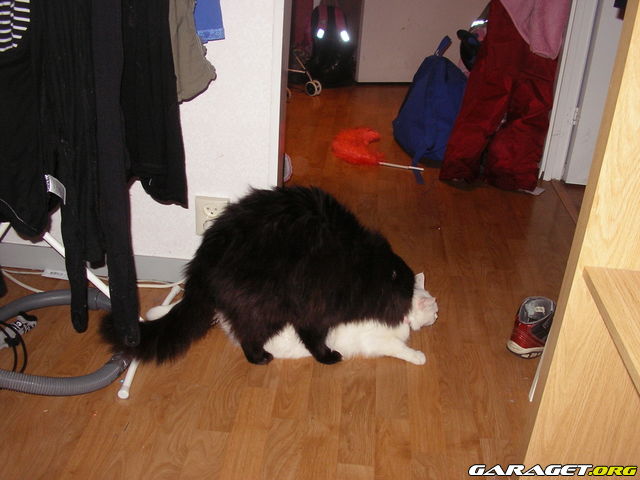 https://www1.garaget.org/gallery/archive/44948/891524_xjw7c2.jpg