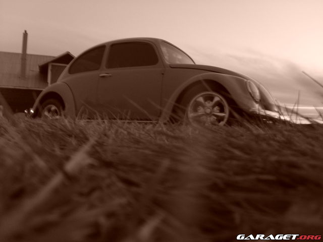 https://www1.garaget.org/gallery/archive/49448/490464_sla6yq.jpg