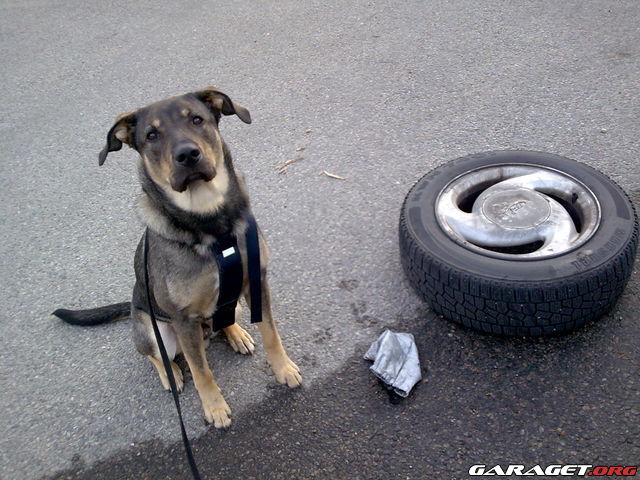 https://www1.garaget.org/gallery/archive/49755/345651_xz0woq.jpg