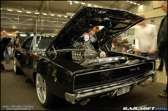 https://www1.garaget.org/gallery/archive/50837/897511_2rjavs.jpg