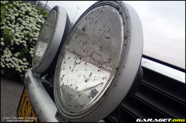 https://www1.garaget.org/gallery/archive/50837/951972_6n9g3m.jpg