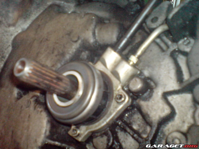 https://www1.garaget.org/gallery/archive/55838/587908_zw3lnq.jpg